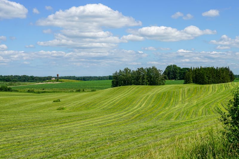 Pasture Mowing