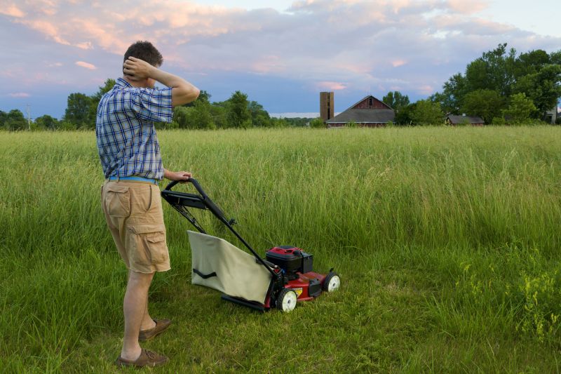 Pasture Mowing