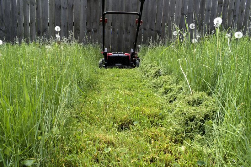 Mowing Equipment