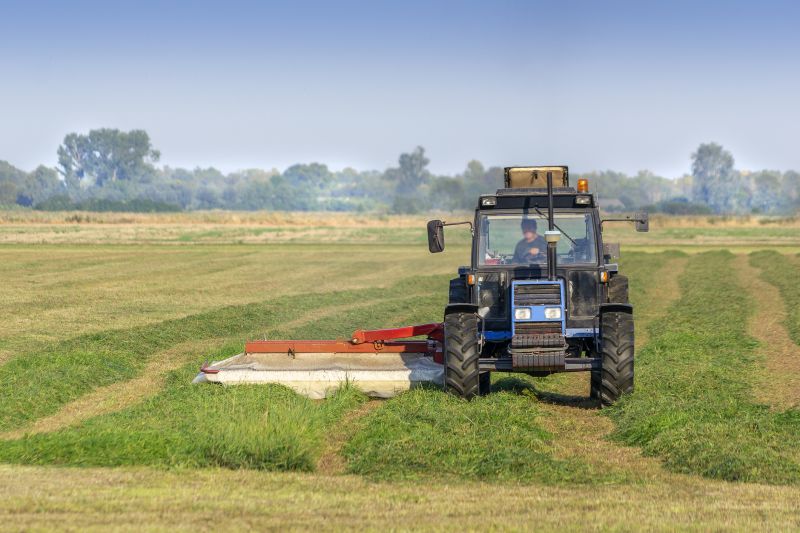 Promotes Healthy Grass Growth